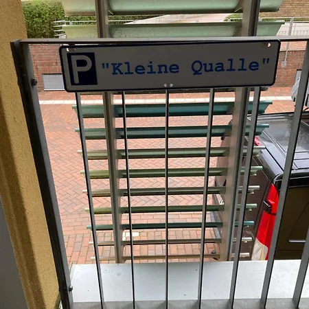 Kleine Qualle * Eckernförde